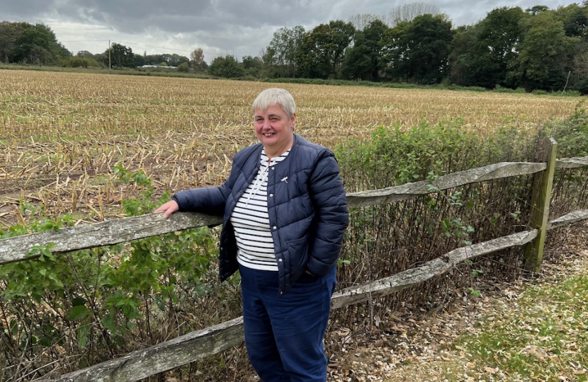 Pauline viewing green fields in Shinfield