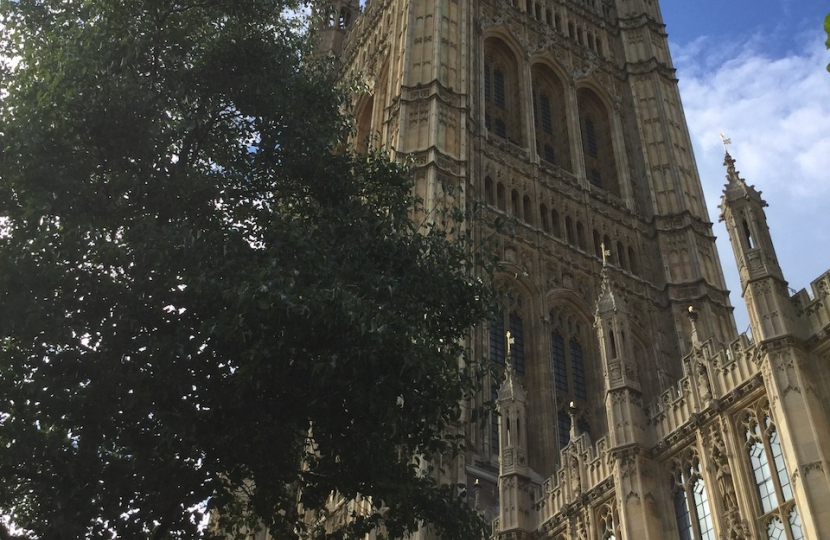 Houses of Parliament