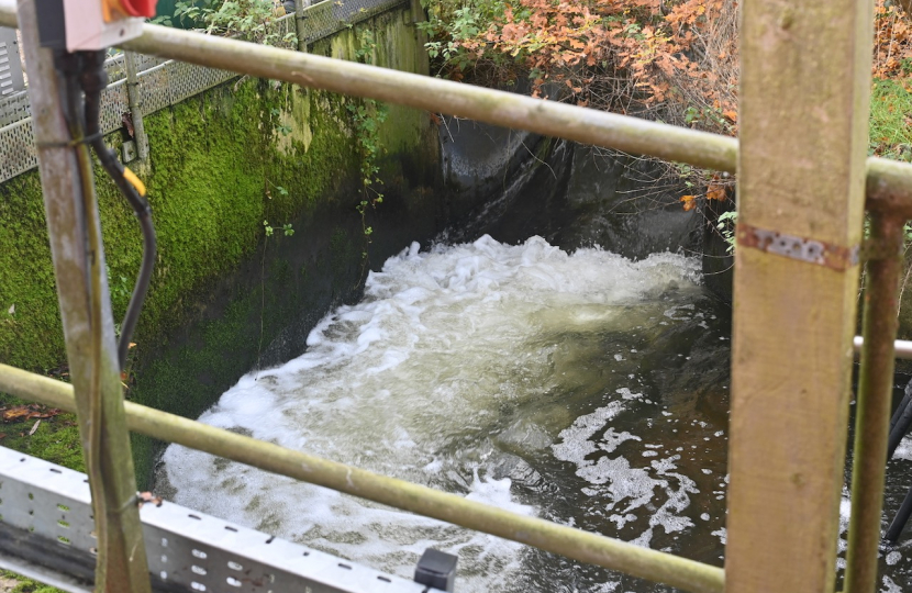 Outflow to the Loddon